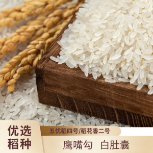 熹美村五常大米