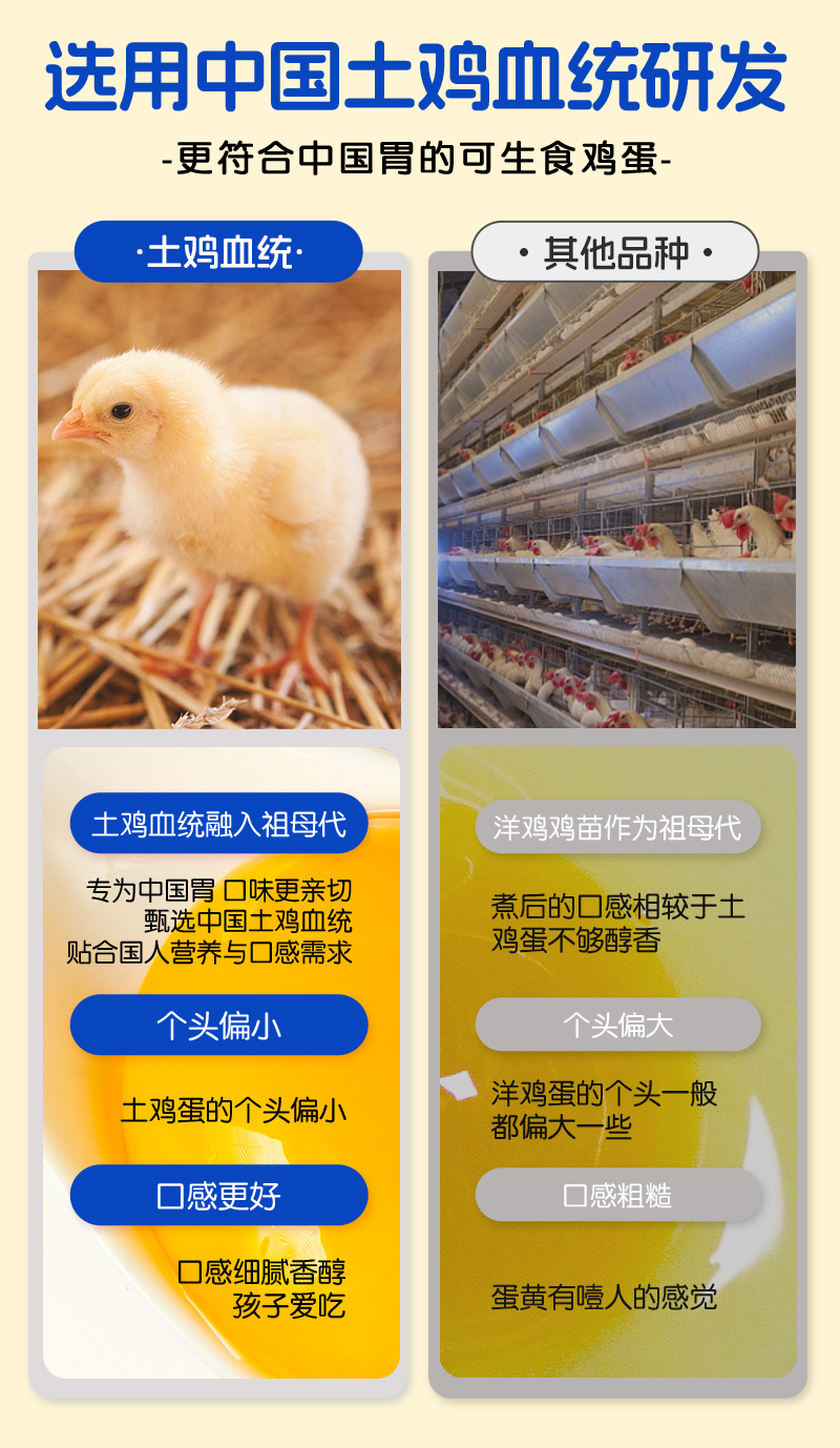 蛋鲜森可生食土鸡蛋 - 图片 3