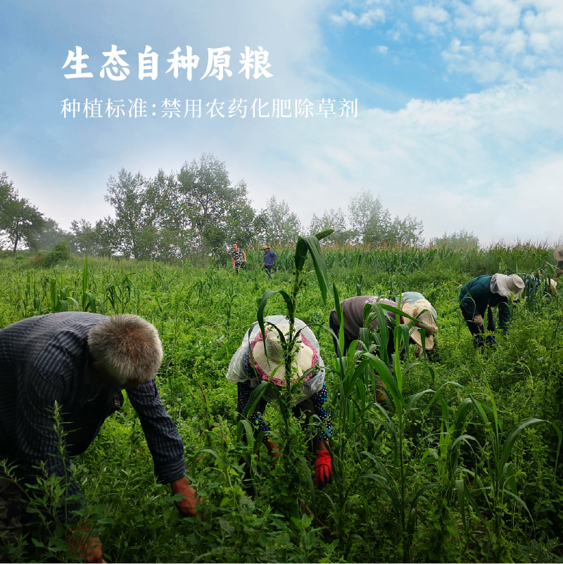 365小米陈醋 - 图片 4