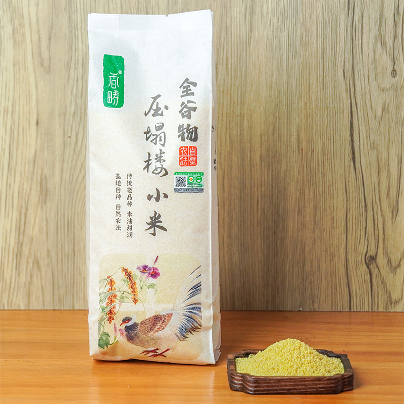 压塌楼小米 - 图片 2
